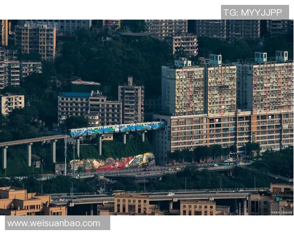 上海与重庆的城市魅力对比探讨两座城市的文化与发展潜力